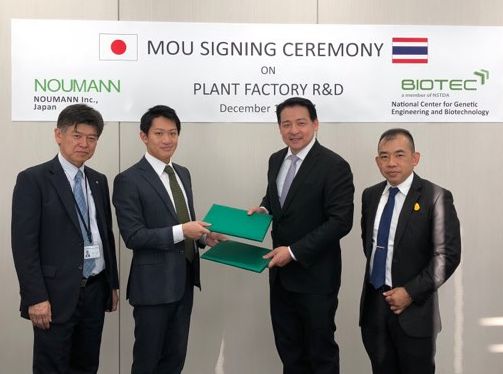 植物工場NOUMANN、タイ研究所BIOTECと共同研究に関する基本合意へ