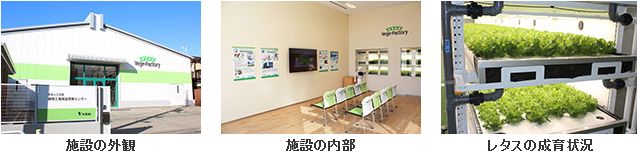 大気社、東京板橋に植物工場実証開発センターを開設。業務用の大型レタスや自動化技術の実証へ