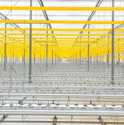 カナダの植物工場企業が米国ジョージア州に拠点を移転。30haの巨大生産施設を建設