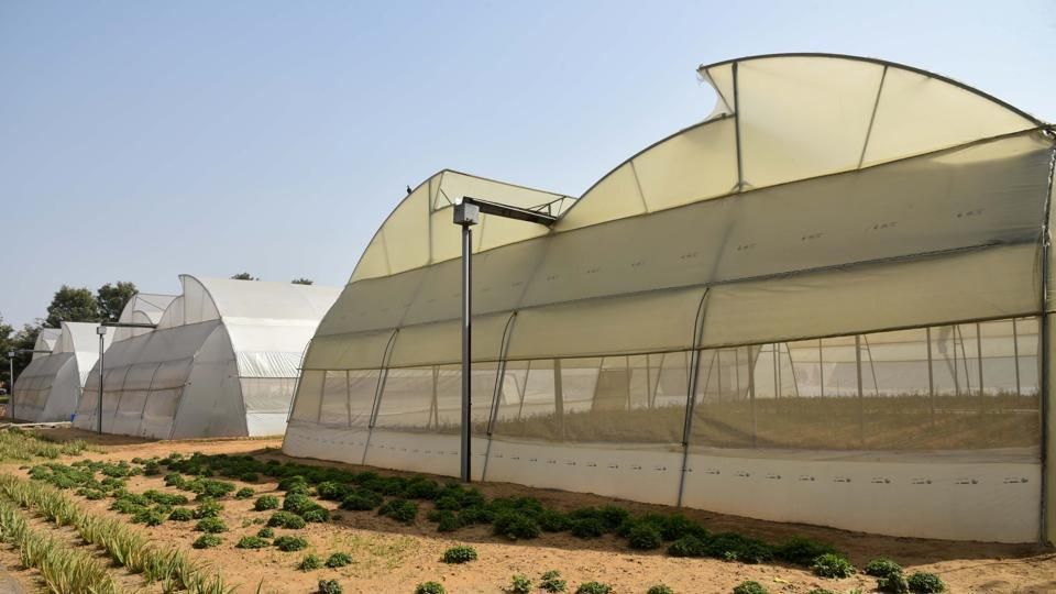 インド・ラージャスターン州が農業のハイテク化「イノベーションセンター」を開設