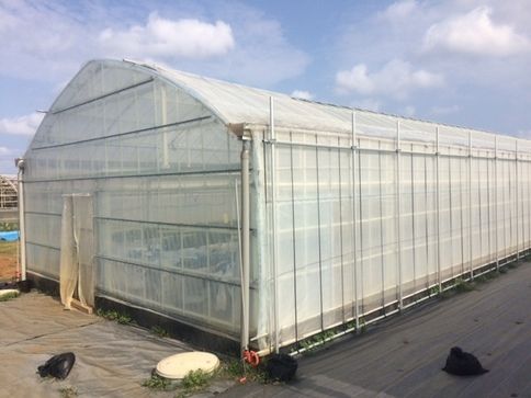 東京農大と日立トリプルウィン、炭素繊維強化プラスチックを活用した植物工場の実証実験へ