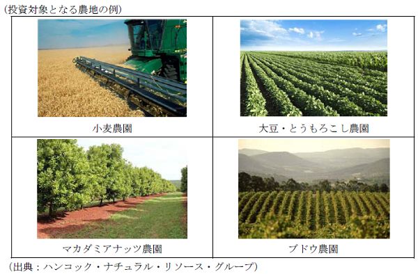 日本生命、海外農地投資ファンドへ100億円の投資。農作物の売上・農地リース料によるリターンに期待