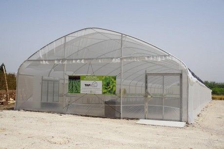 イスラエルTAP社、自分で組立て可能な「商業生産用の水耕ハウス」キットを開発