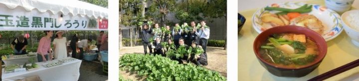 京セラ・グループ「なにわの伝統野菜」の栽培を通して生物多様性保全活動を推進