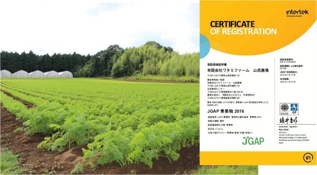 ワタミファーム、千葉県の2農場にてJGAP認証を取得。全12農場での取得を目指す