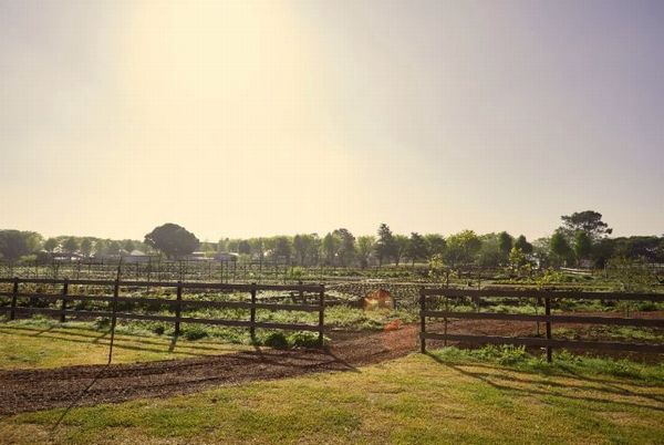 なめがたファーマーズヴィレッジによる体験型農業テーマパークが新規オープン「畑」×「グランピング」