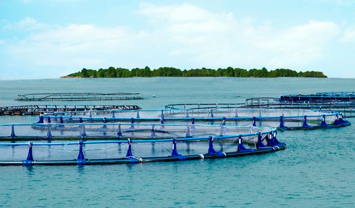 藻類やエビ養殖など、一次産業のハイテク化を目指す東南アジア最大の資源国「ブルネイ」