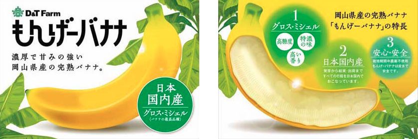 福島県でも国産・完全無農薬バナナ生産へ、観光の目玉商品として復興 