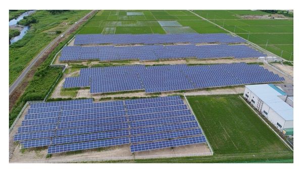 富士興産、太陽光発電所の売電開始。ミョウガ栽培とのソーラーシェアリング