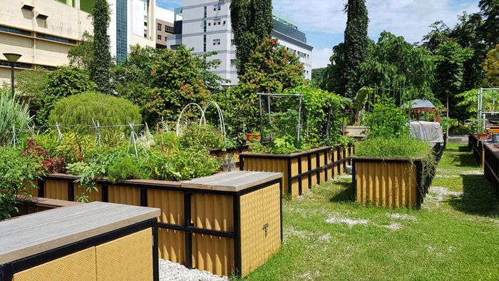 シンガポール政府、大型の園芸治療ガーデンを開設。五感を刺激する工夫＆科学的な効果を検証