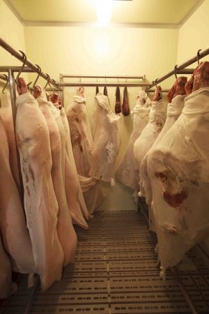 ミートエポック・明治大学が開発、発酵熟成肉製造技術「エイジングシート」を使った商品が関西にも