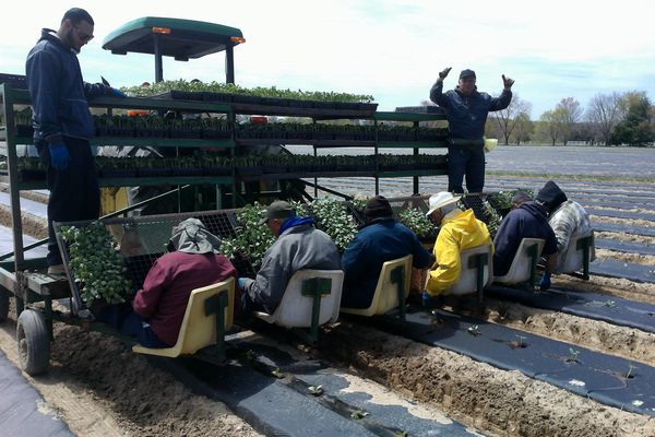巨大農家グロートピア、農業用ドローンを自社開発。1,500万円の経費削減へ