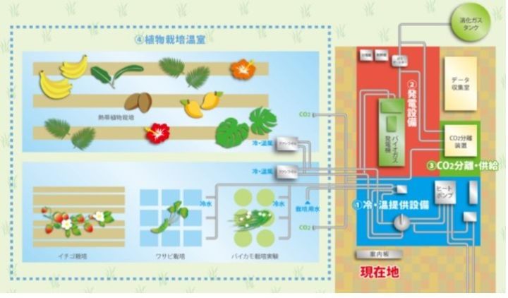 新潟県、下水からの資源・エネルギーを活用した環境保全型農業へ。イチゴやワサビ、パッションフルーツ栽培も