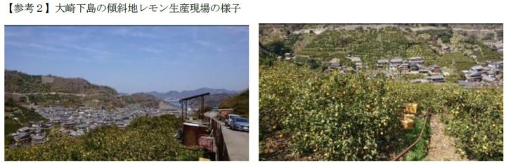 エネコム、広島県「傾斜地レモン栽培」×「IoT」連携による実証実験を開始