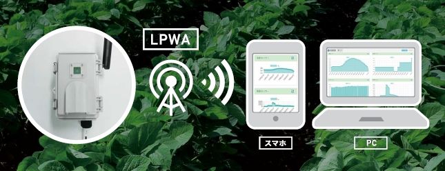西菱電機、LoRaWANを活用した温室ハウス向けの農業IoTサービスを開始