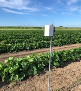 西松建設、LPWAとIoT技術を活用し農業分野で計測監視システムの実証実験を開始