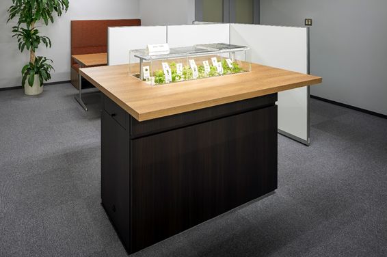 竹中工務店、植物工場技術を導入した「テーブルと野菜栽培を一体化した」ベジテーブルを開発