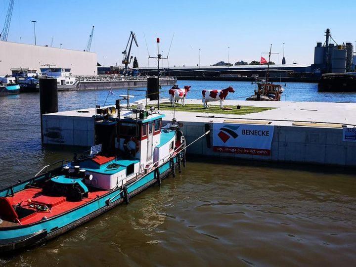 オランダ、畜産・植物工場を行う水上ファームの建設が本格化へ