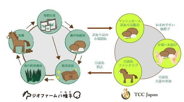 日本サラブレッドTCC JAPAN、馬ふん堆肥を活用した有機マッシュルームの提携販売に合意
