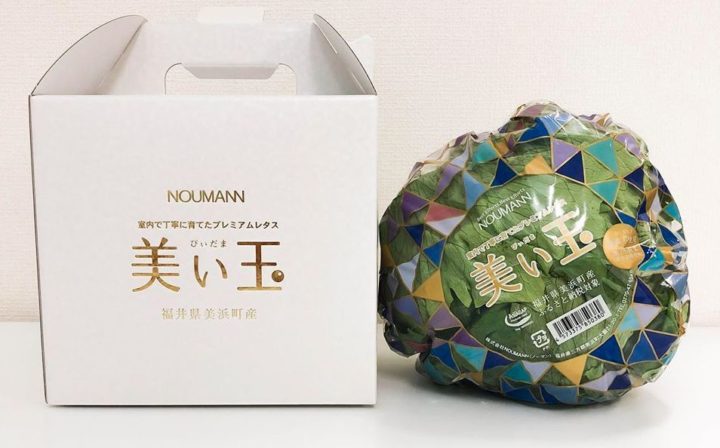 NOUMANNによる植物工場・結球レタス「美い玉」、野菜ソムリエサミットにて銀賞受賞