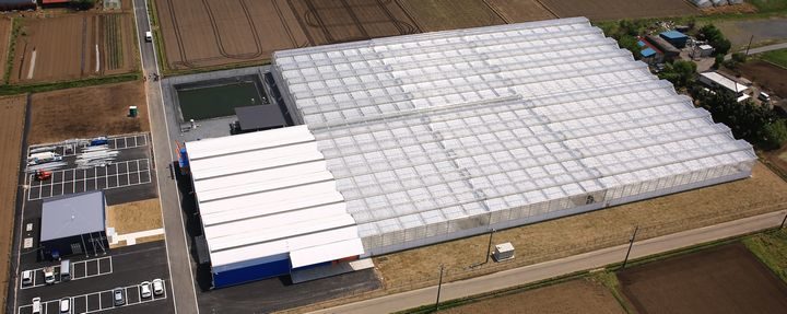 JFEエンジ、誠和トマトパークによる太陽光利用型植物工場の設計から建設一式までを受注
