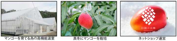 アグリカルチャークラブ、モデル農場見学「真冬の北海道でマンゴーを栽培」