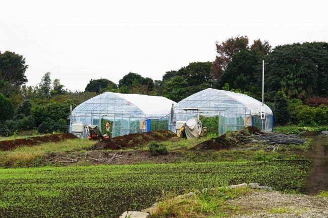 農業AIブレーン「e-kakashi」の実証実験を行うハウス農園「BASE」が横浜に誕生 