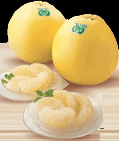熊本・晩白柚を香港に向けて輸出。旧正月では「大きな福をもたらす果物」として人気
