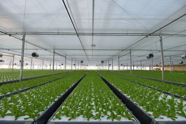 三菱ケミカル、京東集団に納入した中国最大級の植物工場が北京市に完成