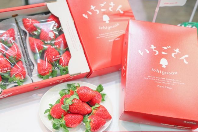 佐賀県の新品種「いちごさん」東京の大田市場に初出荷。18haで900トンの生産量を見込む