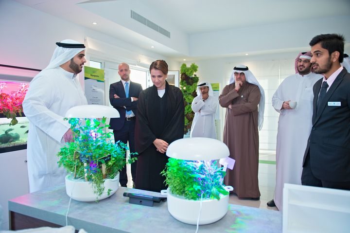 UAEマスダールシティ、植物工場を導入した住宅ショールームを開設