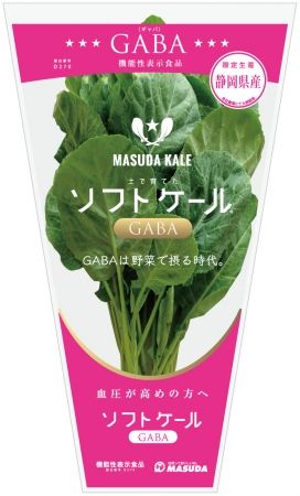 増田採種場、GABAを含む「機能性表示食品」として生鮮野菜ケールを販売
