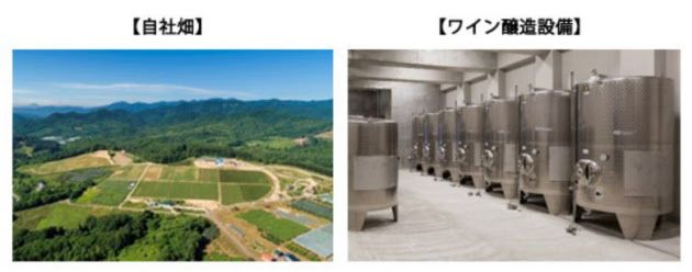 アサヒ、北海道余市町に日本ワイン用ぶどう畑の農地を2ha追加取得