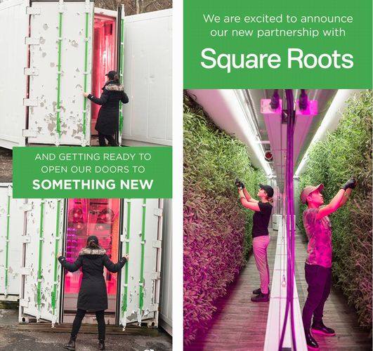 食品流通大手とSquare Roots社が連携。物流拠点に植物工場を建設＆起業家支援へ