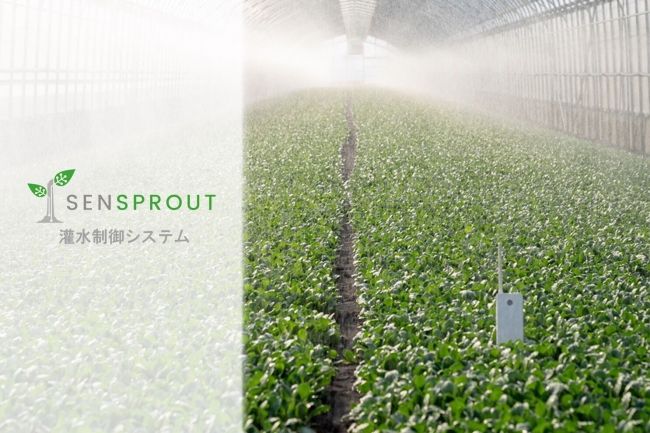 土壌センサーのSenSprout、遠隔での潅水制御システムを販売。ハウス内の総合的な環境制御へ