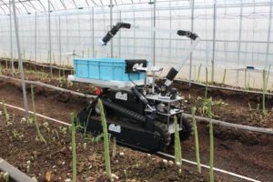 inahoのアスパラガス収穫ロボットを新たに公開