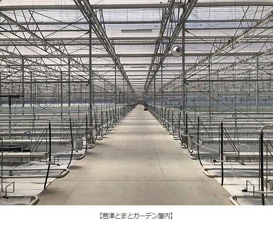 キッコーマングループ、オランダ式の太陽光利用型植物工場「君津とまとガーデン」を竣工