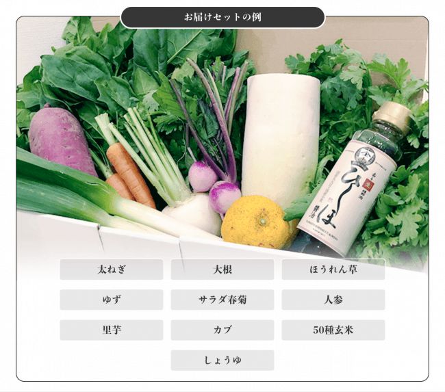 IYaSaKaストア脳育ラボ、無農薬・無化学肥料の野菜と発酵調味料をセットで販売