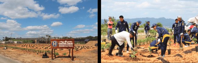 サッカー元日本代表 高原直泰が率いる沖縄SVとネスレ、沖縄で初となる大規模な国産コーヒー豆の栽培へ