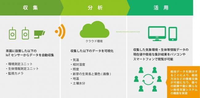 ウフル子会社、福岡県の玉露茶葉にIoTシステムを実証導入。農業データの収集と可視化へ