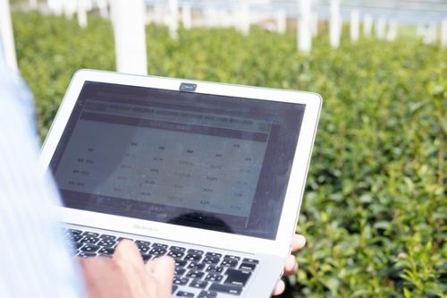 ウフル子会社、福岡県の玉露茶葉にIoTシステムを実証導入。農業データの収集と可視化へ