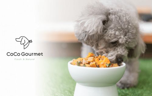 獣医師監修・フレッシュタイプの犬用完全栄養食「CoCo Gourmet ココ グルメ」約1,800万円の資金調達も実施