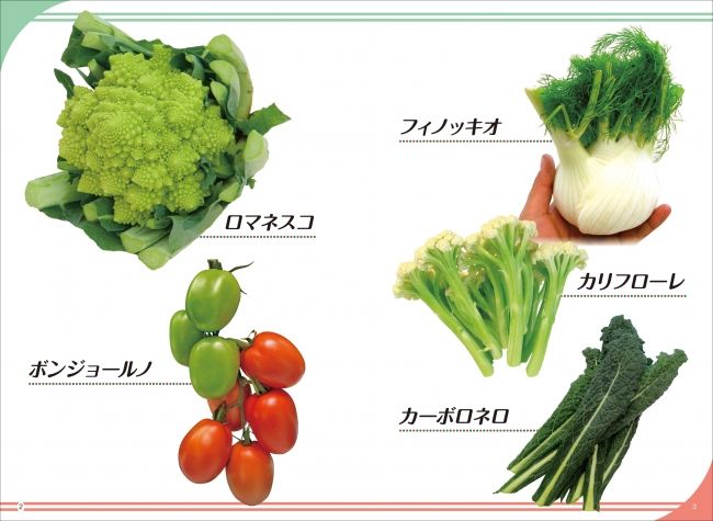 『国産・イタリア野菜のすすめ』が発売。高級野菜として日本での生産事例も増加