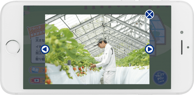 ジャム工場見学アプリ「アヲハタ フルーツタウン」を配信開始。イチゴの栽培技術もアプリで見学