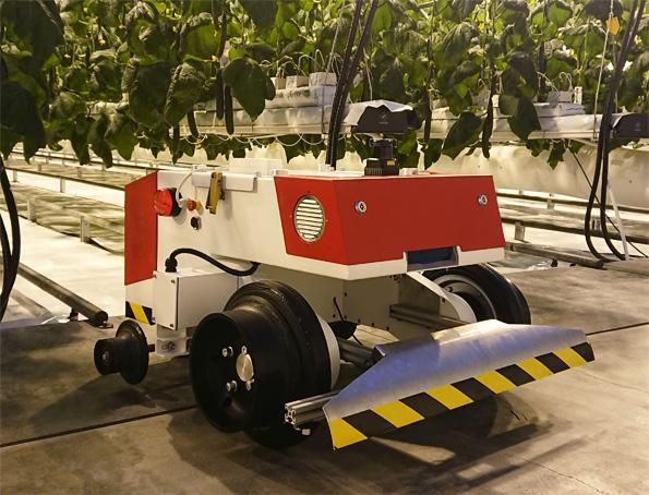 英国政府、ハイテク農業プジェクトへ約30億円を投資。イチゴの栽培管理・収穫自動ロボットの開発も