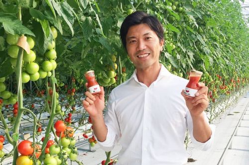 海鮮居酒屋「四十八（よんぱち）漁場」植物工場トマトを活用した6次産業サワーを提供開始