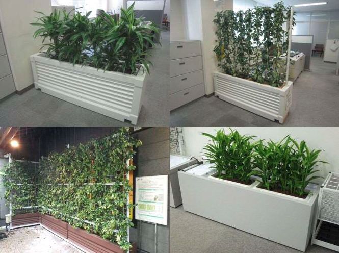 中国電力など、水耕栽培による壁面・屋内緑化システムの販売＆レンタル開始