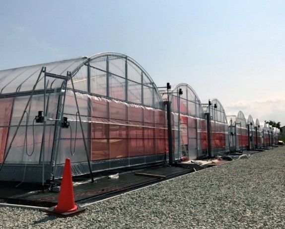 グリーンリバーと佐賀市、清掃工場の余熱とCO2を活用したバジル植物工場を7月に稼働