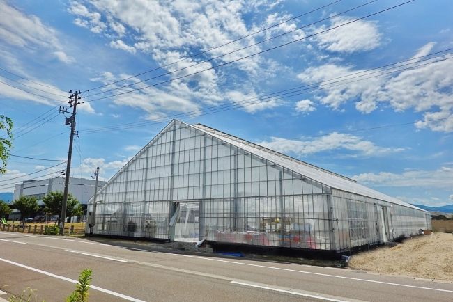 寒冷地型データセンターに国内最大規模のアクアポニクス型の植物工場が完成