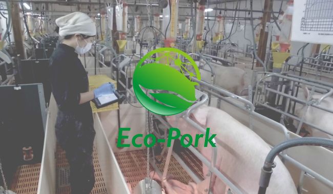 リアルテックファンド、最新技術と環境負荷低減を実現する養豚ベンチャー「Eco-Pork」への出資